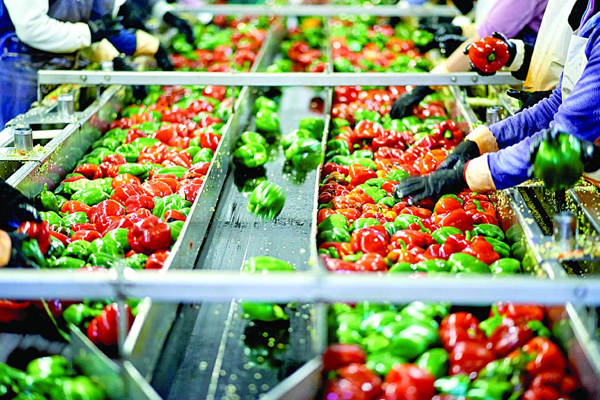 Food-Industries